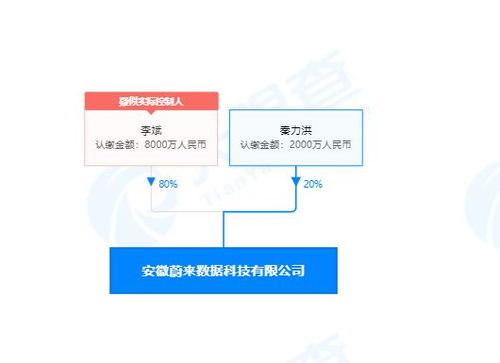 李斌投資成立蔚來數(shù)據(jù)公司，深化計(jì)算機(jī)系統(tǒng)集成服務(wù)布局